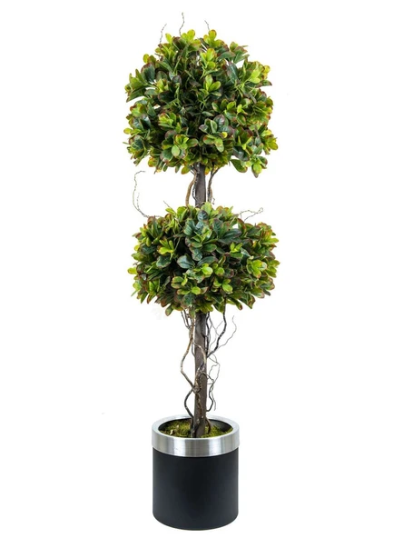 PITOSPORUM EGZOTIK 3 LÜ RED GREEN  170 CM METAL SA AK.ZND014 ürün görseli 1