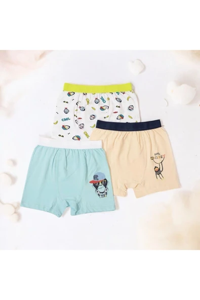 BATU GİYİM erkek çocuk boxer seti - Resim 2