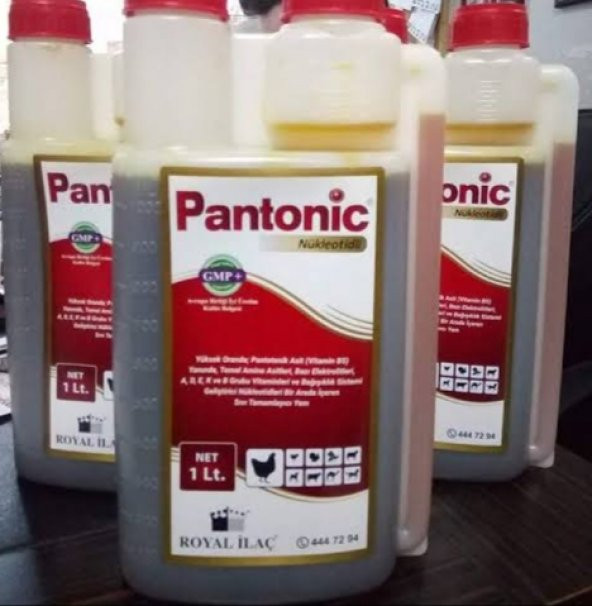 PANTONİC VİTAMİN 1LT FATURALI ürün görseli 1