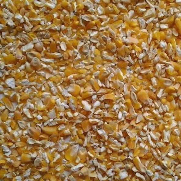 SÜPER KALİTE ELENMİŞ KIRIK MISIR 20KG ürün görseli 1