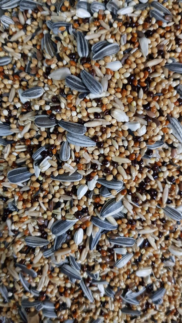 10KG CENNET-SULTAN PAPAGANI PARAKET YEMİ ÖZEL KARIŞIK ürün görseli 1