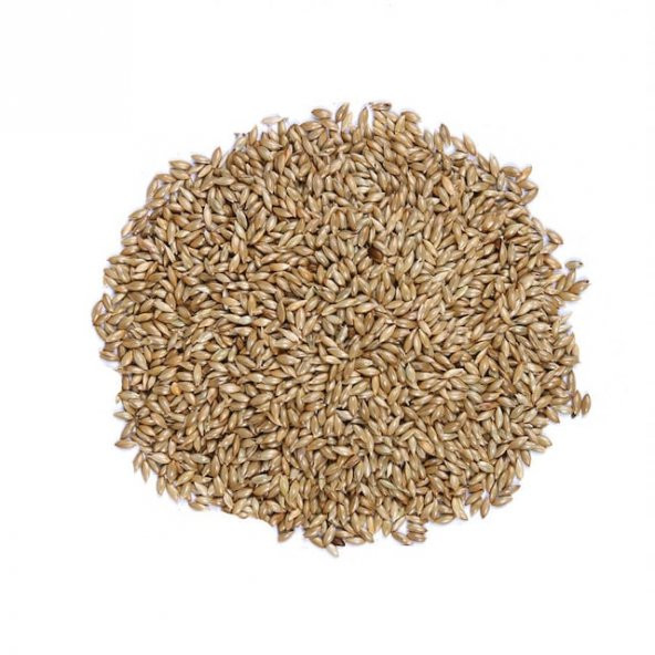 20KG SADE KANARYA YEMI ürün görseli 1