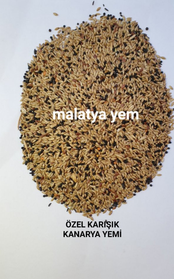 5KG KARISIK KANARYA YEMİ ürün görseli 1