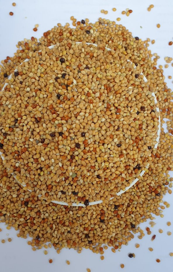 25KG ÖZEL ÜRETİCİ MUHABBET YEMİ SÜPER KALİTE  ÜCRETSİZ KARGO ürün görseli 1