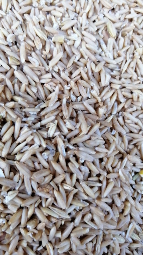 SOYULMUŞ İÇ YULAF 5KG ÜCRETSİZ KARGO ürün görseli 1