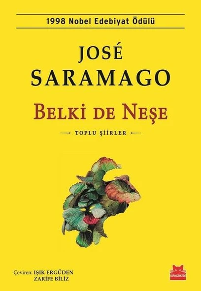 Belki de Neşe ürün görseli 1