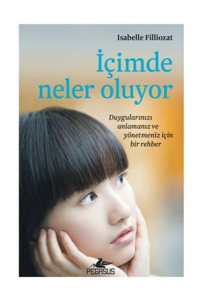 İçimde Neler Oluyor - Duygularınızı Anlamanız ve Yönetmeniz İçin Bir Rehber ürün görseli 1