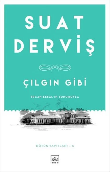 Çılgın Gibi ürün görseli 1