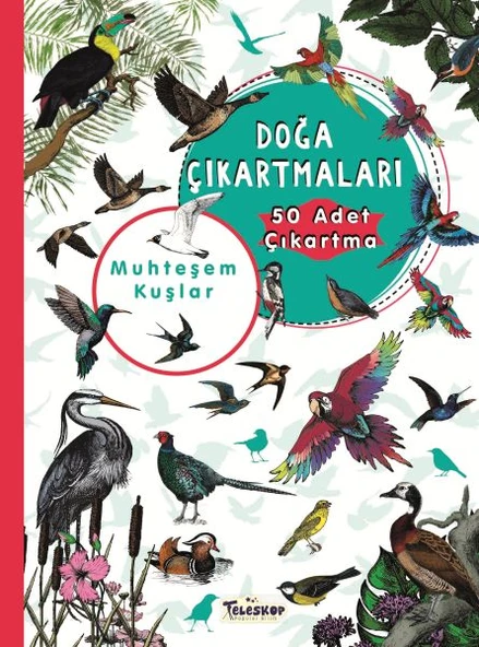 Muhteşem Kuşlar - Doğa Çıkartmaları ürün görseli 1
