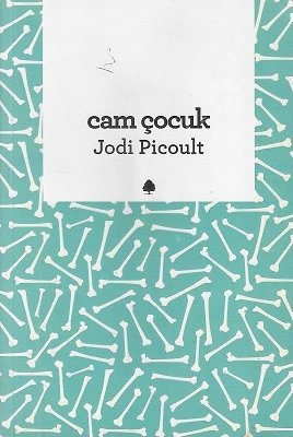 Cam Çocuk Jodi Picoult April Yayıncılık ürün görseli 1