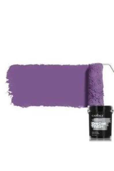 OCF11 Romans Akrilik Duvar Boyası - One Coat Finish 2.5LT ürün görseli 1