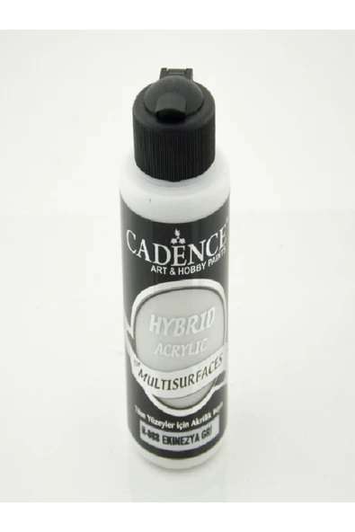 Hybrıd Akr. Multısurfaces H-088 Ekinezya Gri 120ml ürün görseli 1
