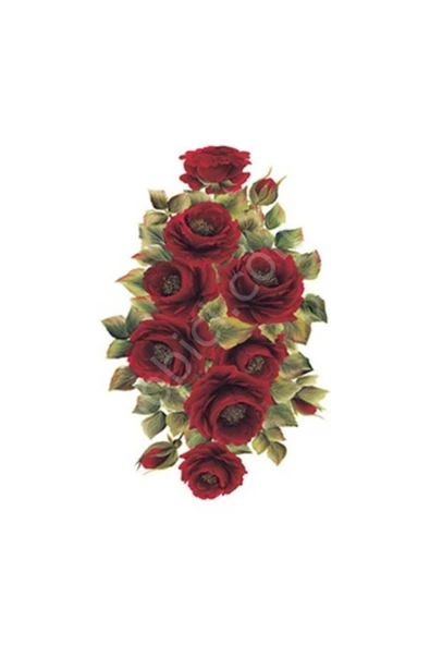 Xl07 35x50 Gülsün Ülkü ürün görseli 1