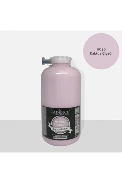 H026 Kaktüs Çiçeği - Multisurfaces 2lt ürün görseli 1