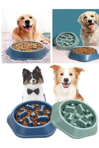 Kedi-köpek Yavaş Yeme Mama Kabı Obezite Önleyici Sindirim Düzenleyici Mama Kabı ürün görseli 1
