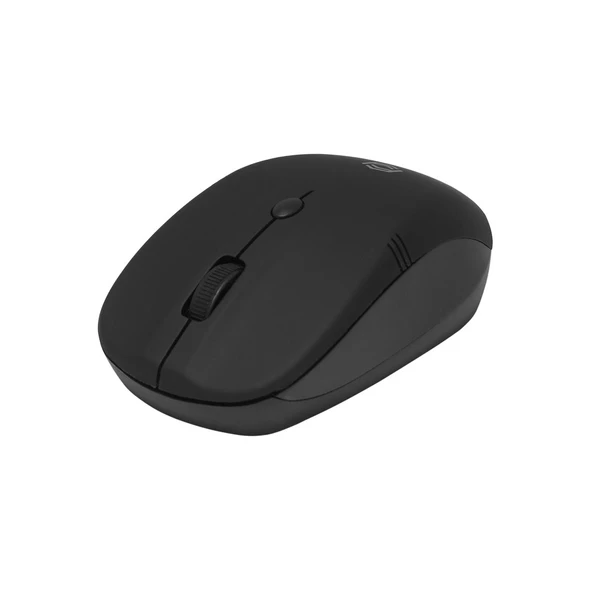 Frisby Mouse Fm-262Wm  Kablosuz Mouse Siyah - Resim 3