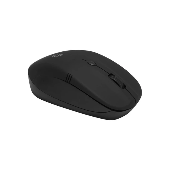 Frisby Mouse Fm-262Wm  Kablosuz Mouse Siyah - Resim 2