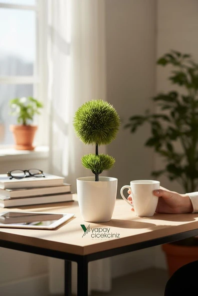 Beyaz Saksı 25 cm Yapay Top Şimşir - Resim 9