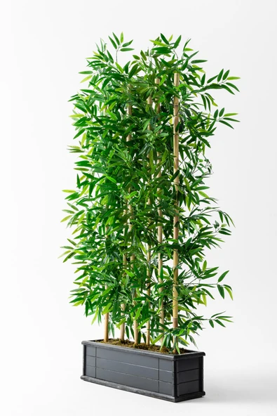 Yapay Bambu Seperatör Ahşap Antrasit Saksı 175 Cm - Resim 4