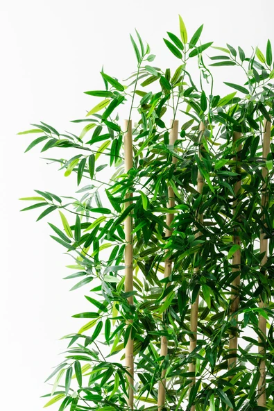 Yapay Bambu Seperatör Ahşap Antrasit Saksı 175 Cm - Resim 5