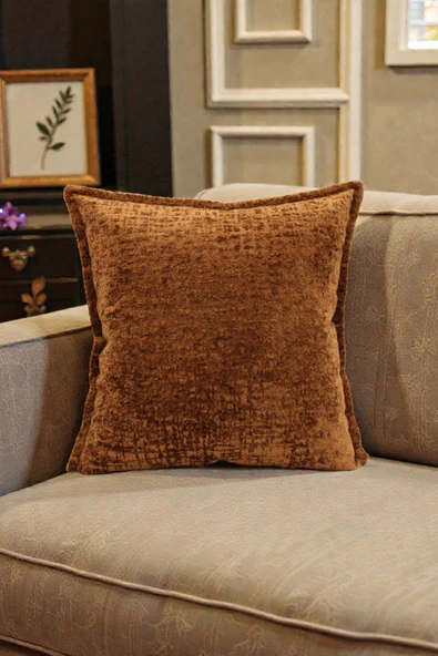 VISIONARIO Kırlent İthal Kadife Kumaş - 45x45cm Yumuşak Dokulu Dekoratif Özel Tasarım Kırlent Kılıfı - S06 ürün görseli 1