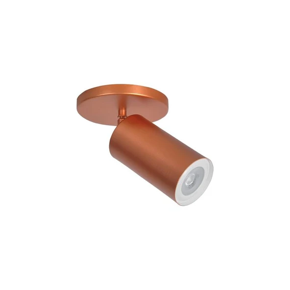 Rsylight Metal Mafsallı Mat Bakır Spot Armatür Aplik Günışı Led Ampullü ürün görseli 1