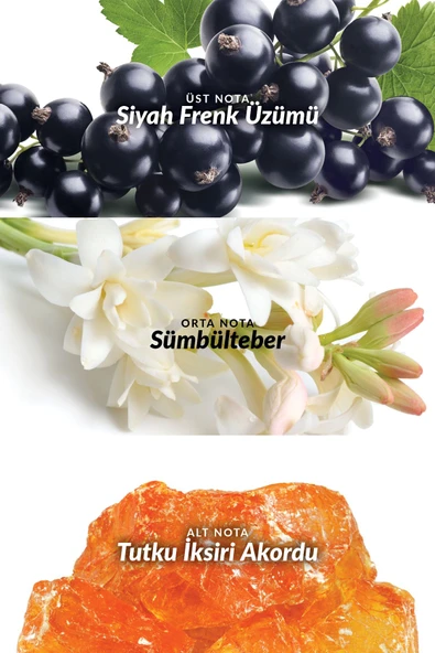 Attraction Awaken Kadın Parfüm Edp 50 Ml. - Resim 3