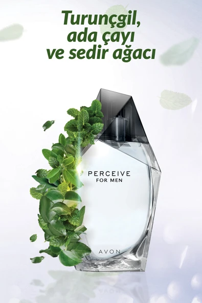 AVON Perceive Erkek Parfüm Edt 100 Ml. - Resim 2