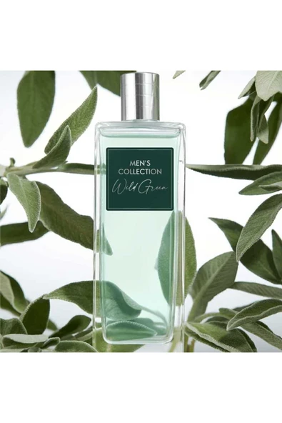 Oriflame Men's Collection Adaçayının Canlandırıcı Kokusuna Sahip Wild Green EdT Erkek Parfümü ürün görseli 1