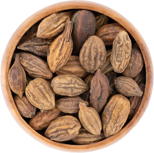 Sarı Halile 200 gram ( Terminalia Chebula ) Sarıhalile Bitkisi ürün görseli 1