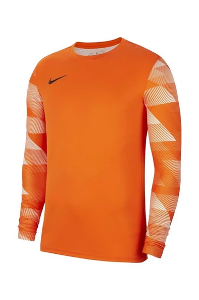 Nike M NK DF Park IV JSY GK CJ6066-819 Kaleci Forma ürün görseli 1