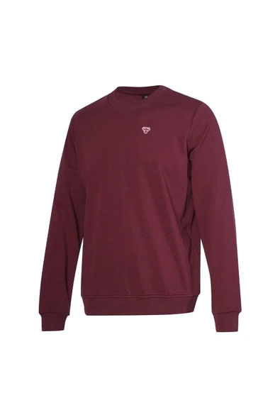 hummel T-Ic Ico Sweatshirt Pembe Erkek Sweatshirt ürün görseli 1