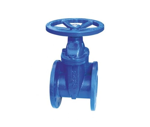 Klepsan 1185 Elastomer Sürgülü Vana F4 Gg40 Dn 150 ürün görseli 1