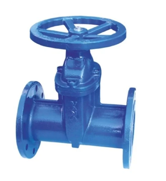 Klepsan 1176 Elastomer Sürgülü Vana F5 Gg40 ürün görseli 1