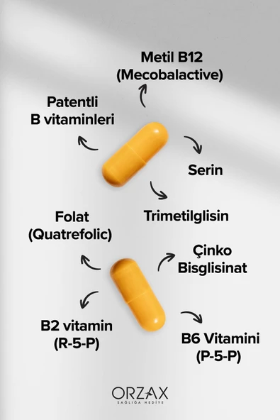 OCEAN METHYL BALANCE 60 CAPS BITKISEL CAP. - Resim 3