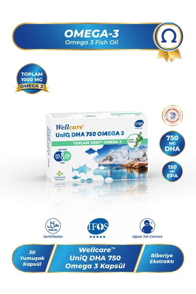 WELLCARE OMEGA 3 UNIQ DHA 750 30 KAPSUL ürün görseli 1
