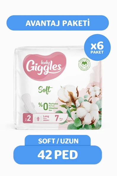 Lady Soft Hijyenik Ped Uzun Avantaj Paketi 42 Adet ürün görseli 1