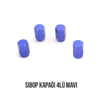 Carub Sibop Kapağı 4Lü Mavi BR5531117 ürün görseli 1