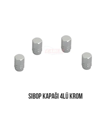 Carub Sibop Kapağı 4Lü Krom Gri BR5531116 ürün görseli 1