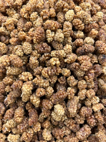 Öz Altın Kayısı Dut Kurusu 1 KG ürün görseli 1
