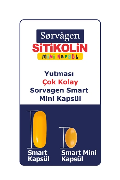 SORVAGEN 60 MINI KAP SITIKOLIN DHA - Resim 4