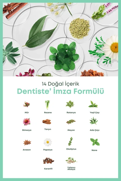 DENTİSTE KİDS  MACUN - Resim 7