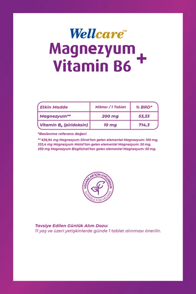WELLCARE MAGNESIUM B6 VT 200/10M 30 TABLET - Resim 2