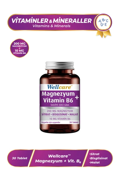 WELLCARE MAGNESIUM B6 VT 200/10M 30 TABLET ürün görseli 1