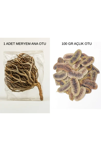 Meryem Ana Otu 1 Adet + Açlık Otu 100 Çayı gr | Doğal Detoks ve Sindirim Desteği ürün görseli 1