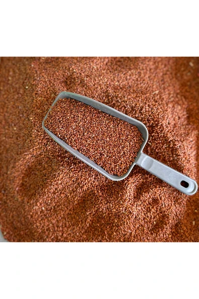 Tere Tohumu (AÇIK)50g - Resim 2