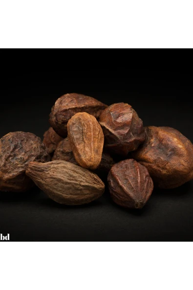 Sarı Halile 100 gram ( Terminalia Chebula ) Sarıhalile Bitkisi - Resim 2