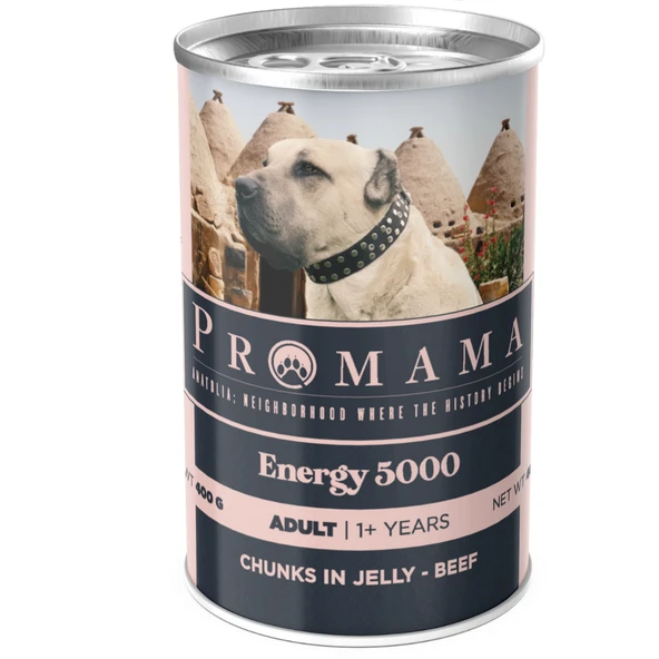 Promama Energy 5000 Yetişkin Biftekli Yaş Konserve Köpek Maması 400 GR 36'lı Koli 452890 ürün görseli 1
