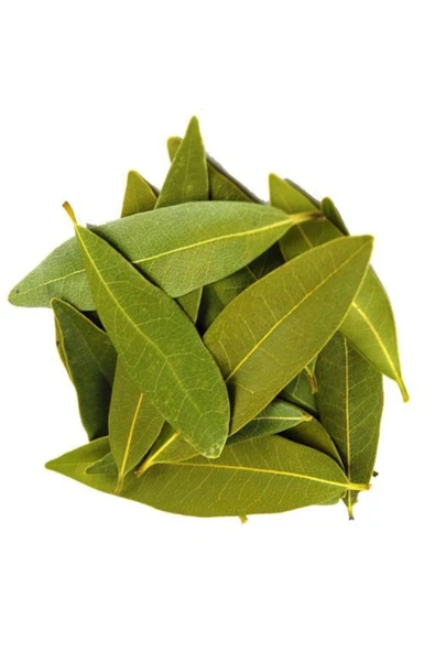 Defne Yaprağı 80gr ürün görseli 1
