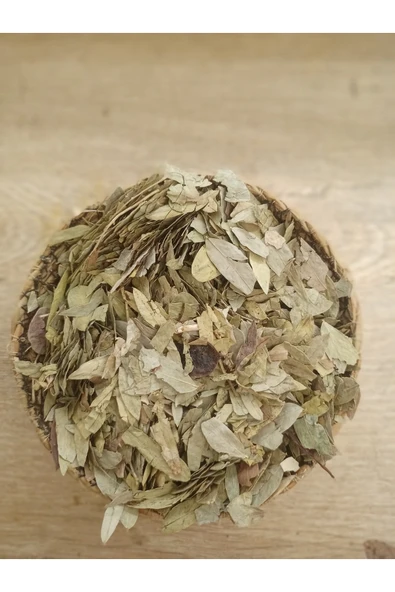 Sinemaki Yaprağı 100gr ürün görseli 1